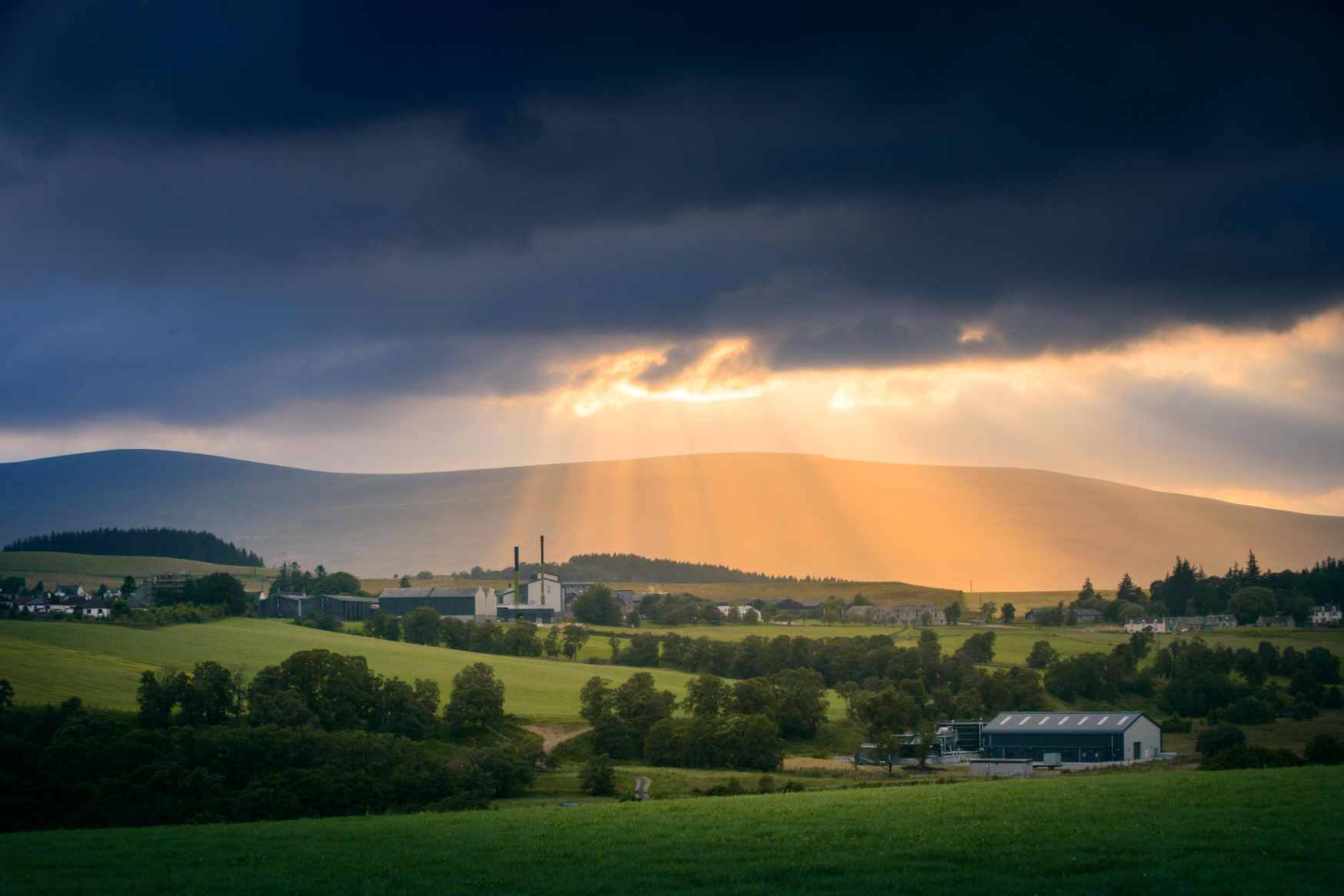 Whisky in Scotland