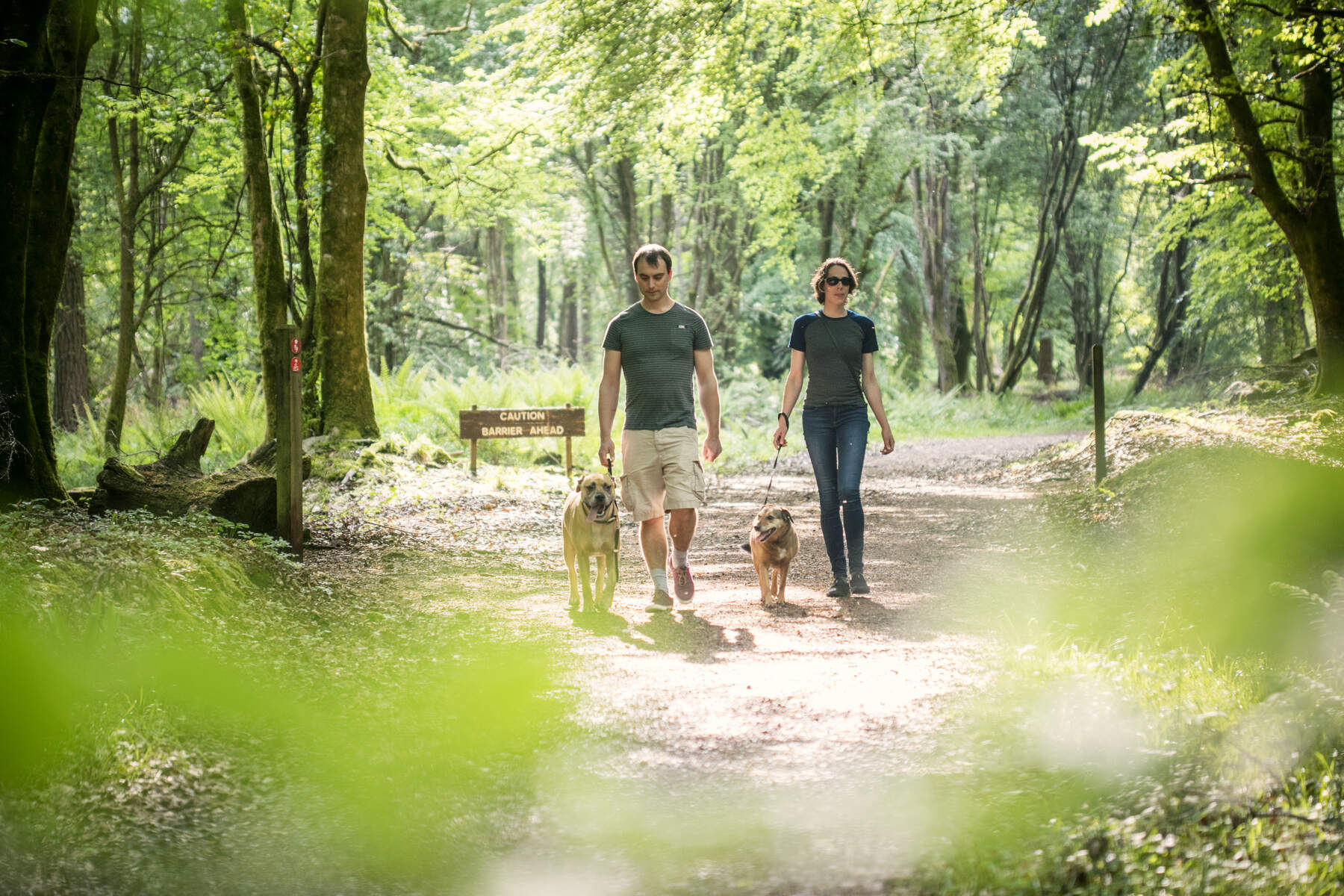 Portumna Forest Park à Galway